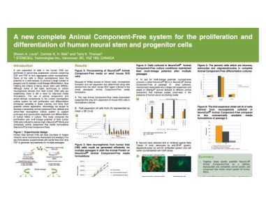 A New Complete Animal Component-Free System for the Proliferation and Differentiation of Human Neural Stem and Progenitor Cells
