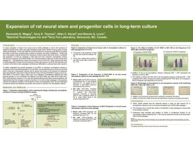 Expansion of Rat Neural Stem and Progenitor Cells in Long-Term Culture