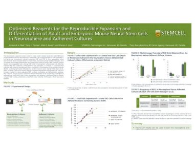 Optimized Reagents for the Reproducible Expansion and Differentiation of Adult and Embryonic Mouse Neural Stem Cells in Neurosphere and Adherent Cultures