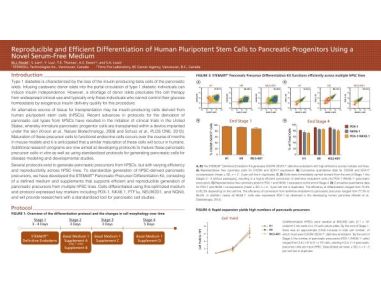 Reproducible and Efficient Differentiation of Human Pluripotent Stem Cells to Pancreatic Progenitors Using a Novel Serum-Free Medium