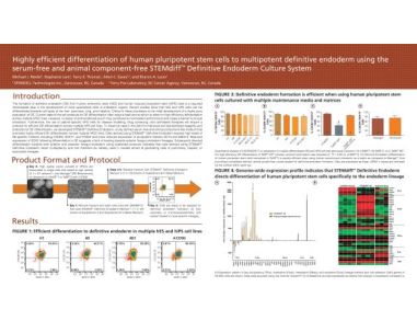 Highly Efficient Differentiation of Human Pluripotent Stem Cells to Multipotent Definitive Endoderm Using STEMdiff™ Definitive Endoderm Culture System