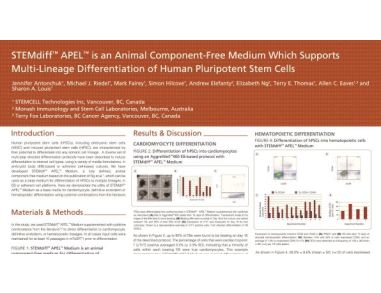 STEMdiff™ APEL™ Medium - Multi-Lineage Differentiation of hPSCs