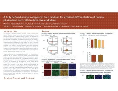 A Fully Defined Animal Component Free Medium for Efficient Differentiation of Human Pluripotent Stem Cells to Definitive Endoderm