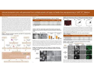 Induced Pluripotent Stem Cells Generated from Multiple Somatic Cell Types via Feeder Free Reprogramming in TeSR™-E7™ Medium