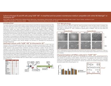 Culture of Human ES and iPS Cells Using TeSR™-E8™: a Simplified and Low Protein Maintenance Medium Compatible With Vitronectin XF™