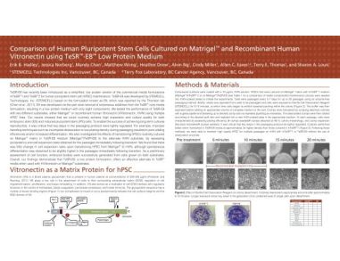 Comparison of Human Pluripotent Stem Cells Cultured on Matrigel™ and Recombinant Human Vitronectin Using TeSR™-E8™ Low Protein Medium