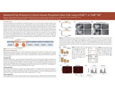 Weekend-Free Protocol to Culture Human Pluripotent Stem Cells Using mTeSR™1 or TeSR™-E8™
