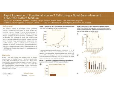Rapid Expansion of Functional Human T Cells Using a Novel Serum-Free and Xeno-Free Culture Medium