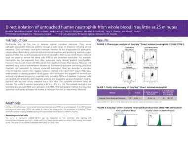 Isolation of Untouched Neutrophils Directly from Whole Blood in 20 Minutes