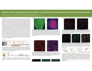 Neurofluor CDr3 a Fluorescent Probe for the Detection of Live CNS and Human Pluripotent Stem Cell Derived Neural Progenitor Cells