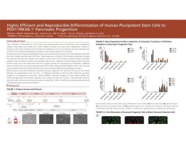 Highly Efficient and Reproducible Differentiation of hPSCs to PDX1+ NKX6.1+ Pancreatic Progenitors