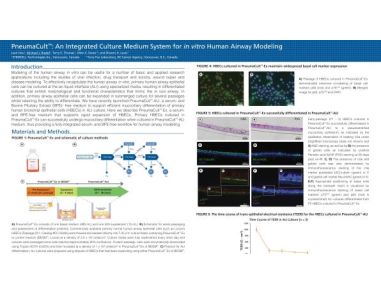 PneumaCult™: An Integrated Culture Medium System for in vitro Human Airway Modeling