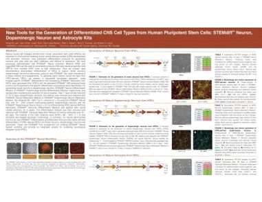 New Tools for the Generation of Differentiated CNS Cell Types from Human Pluripotent Stem Cells: STEMdiff&trade; Neuron, Dopaminergic Neuron and Astrocyte Kits