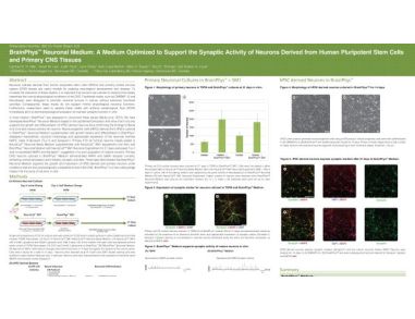 BrainPhys™ Neuronal Medium: A Medium Optimized to Support the Synaptic Activity of Neurons Derived from Human Pluripotent Stem Cells and Primary CNS Tissues