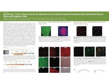 NeuroFluor&trade; CDr3: A Novel Tool for the Detection of Live CNS and Human Pluripotent Stem Cell-Derived Neural Stem and Progenitor Cells
