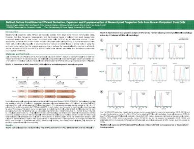 Defined Culture Conditions for Efficient Derivation Expansion and Cryopreservation of Mesenchymal Progenitor Cells from Human Pluripotent Stem Cells