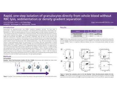 Rapid, one-step isolation of granulocytes directly from whole blood without RBC lysis, sedimentation or density spearation