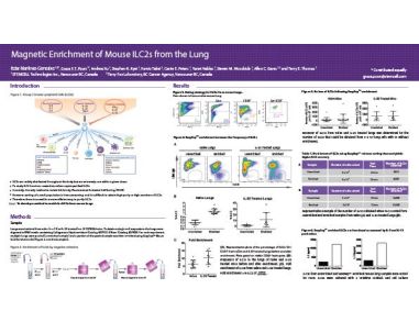 Magnetic Enrichment of Mouse ILC2s from the Lung