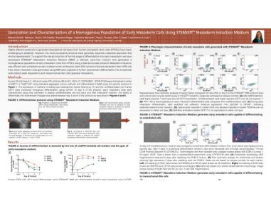 Generation and Characterization of a Homogenous Population of Early Mesoderm Cells Using STEMdiff Mesoderm Induction Medium