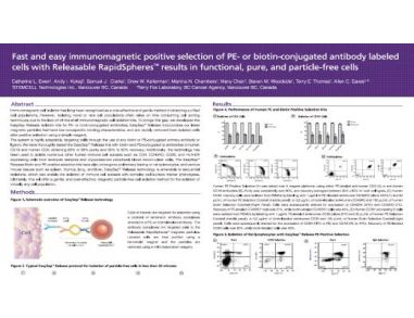 Fast and Easy Immunomagnetic Positive Selection of PE- or Biotin-Conjugated Antibody Labeled Cells with Releasable RapidSpheres™ Results in Functional, Pure and Particle-Free Cells