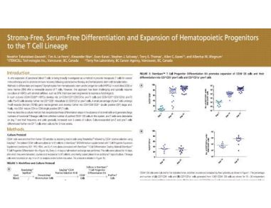 Stroma-Free, Serum-Free Differentiation and Expansion of Hematopoietic Progenitors to the T Cell Lineage