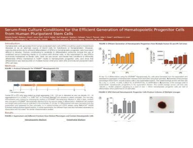 Efficient Differentiation of Human Pluripotent Stem Cells to Hematopoietic Progenitor Cells in Serum-Free Culture Conditions