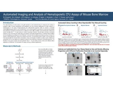 Automated Imaging and Analysis of Hematopoietic CFU Assays of Mouse Bone Marrow