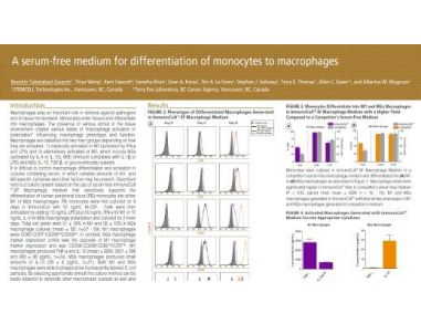 A Serum-Free Medium for Differentiation of Monocytes to Macrophages