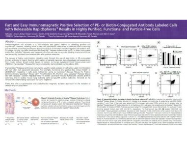 Positive Selection of PE- or Biotin-Conjugated Antibody Labeled Cells with Releasable Rapidspheres™