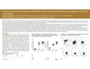 Stroma-Free, Serum-Free Expansion and Differentiation of Hematopoietic Stem and Progenitor Cells to the T Cell Lineage