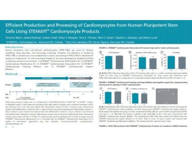 Efficient Production and Processing of Cardiomyocytes from Human Pluripotent Stem Cells Using STEMdiff™ Cardiomyocyte Products