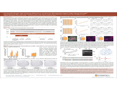 Increased Single-Cell Cloning Efficiency of Human Pluripotent Stem Cells Using CloneR™