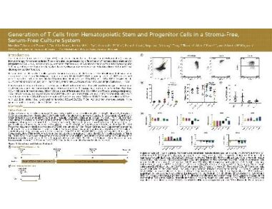 Generation of T Cells from Hematopoietic Stem and Progenitor Cells in a Stroma-Free, Serum-Free Culture System