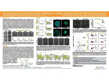 Drug Screening and Phenotypic Analysis in a Microwell-based 3D Cell Culture System