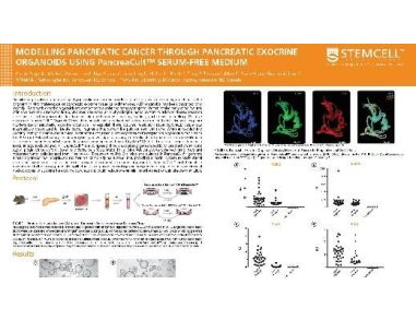 Modelling Pancreatic Cancer Through Pancreatic Exocrine Organoids Using Pancreacult™ Serum-free Medium