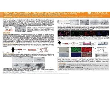 Efficient Establishment and Long-term Maintenance of 3-dimensional Human Small Intestinal and Colonic Organoids Using a Novel IntestiCult™ Organoid Growth Medium (Human)