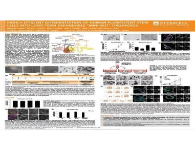 Highly Efficient Differentiation of Human Pluripotent Stem Cells into Long-term Expandable “Mini-gut” Organoids