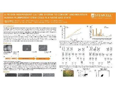 A Feeder-Independent Culture System to Convert and Maintain Human Pluripotent Stem Cells in a Naïve-Like State