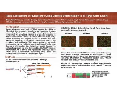 Rapid Assessment of Pluripotency Using Directed Differentiation to all Three Germ Layers