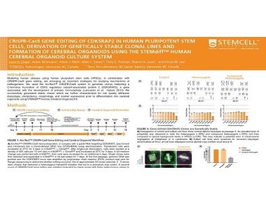CRISPR-Cas9 Gene Editing Of CDK5RAP2 In Human Pluripotent Stem Cells