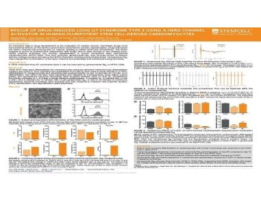 Rescue of Drug-Induced Long QT Syndrome Type 2 Using a hERG Channel Activator