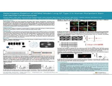 Heterozygous Deletion of KCNH2 Models Long QT Type 2 in Human Pluripotent Stem Cell-Derived Cardiomyocytes