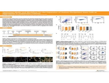 Optimized Media and Workflow for the Expansion of Human Pluripotent Stem Cells as Aggregates in Suspension Cultures