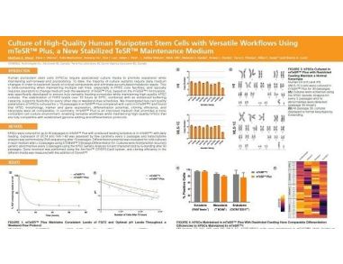 Culture of High-Quality Human Pluripotent Stem Cells with Versatile Workflows Using mTeSR™ Plus