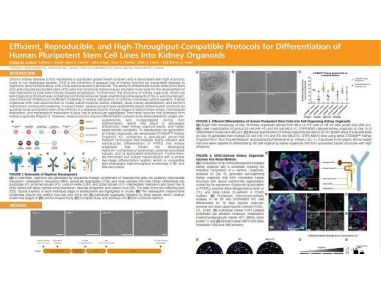 Efficient, Reproducible and High-Throughput-Compatible Protocols