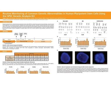 Routine Monitoring of Common Genetic Abnormalities in Human Pluripotent Stem Cells