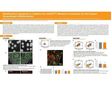 Modifications Designed to Stabilize the mTeSR1™ Formulation Do Not Impact Downstream Differentiation