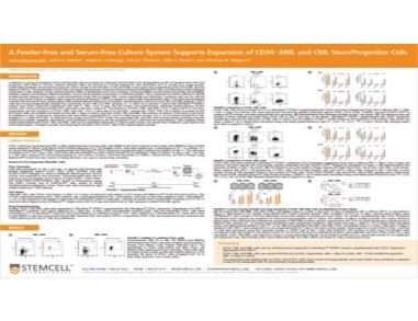 A Feeder-Free and Serum-Free Culture System Supports Expansion of CD34+ AML and CML Stem/Progenitor Cells