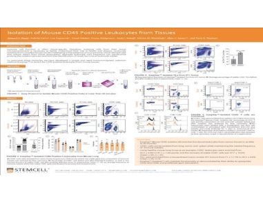 Isolation of Mouse CD45 Positive Leukocytes from Tissues