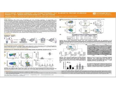 Efficient Enrichment of Functional ILC Subsets from Human PBMCs by Immunomagnetic Selection
